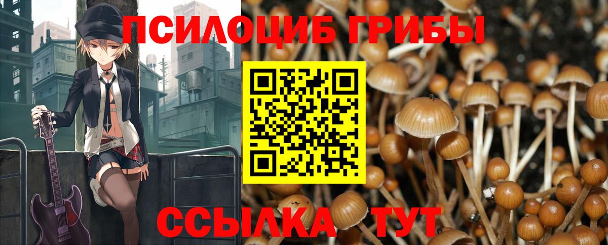 Галлюциногенные грибы мухоморы Белебей
