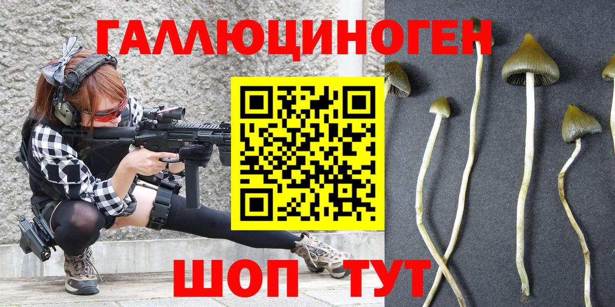 Белебей  Псилоцибиновые грибы Psilocybine cubensis  Вход с VPN  Псилоцибиновые грибы мухоморы 